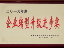 荣誉资质